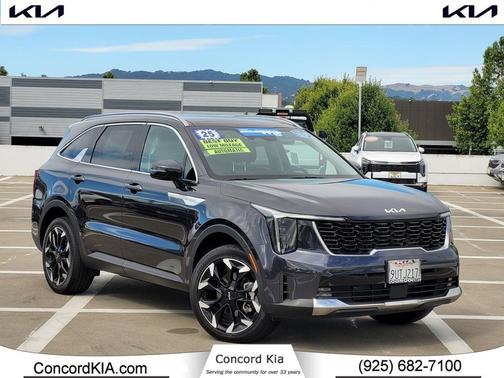 Panthera Metal 2025 Kia Sorento EX