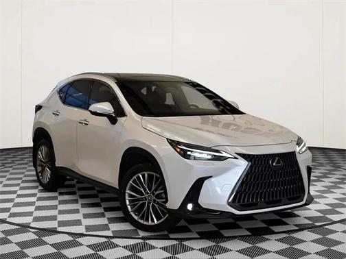 2025 Lexus NX 350 Luxury
