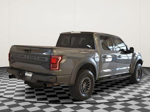 Magnetic 2019 Ford F-150 Raptor