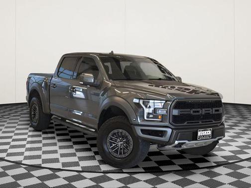 Magnetic 2019 Ford F-150 Raptor