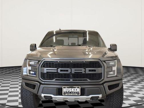 Magnetic 2019 Ford F-150 Raptor