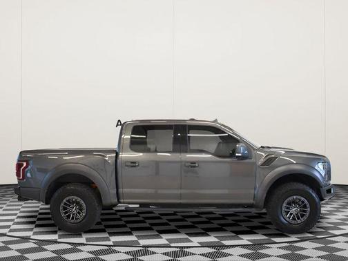 Magnetic 2019 Ford F-150 Raptor