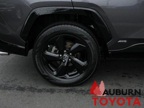 2019 Toyota RAV4 Hybrid SE