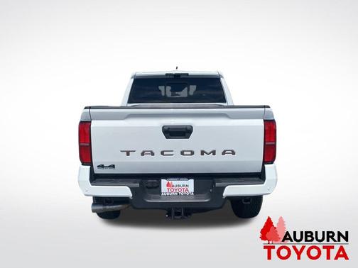 Ice Cap 2026 Toyota Tacoma TRD Off Road