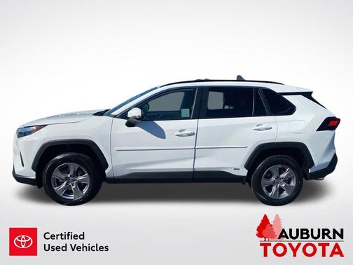 Ice Cap 2024 Toyota RAV4 Hybrid LE