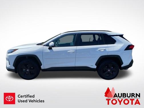 Ice Cap 2024 Toyota RAV4 Hybrid LE