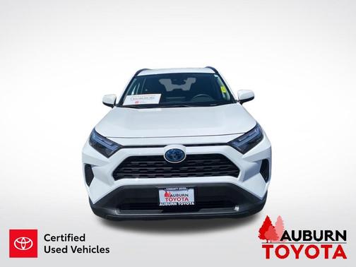 Ice Cap 2024 Toyota RAV4 Hybrid LE