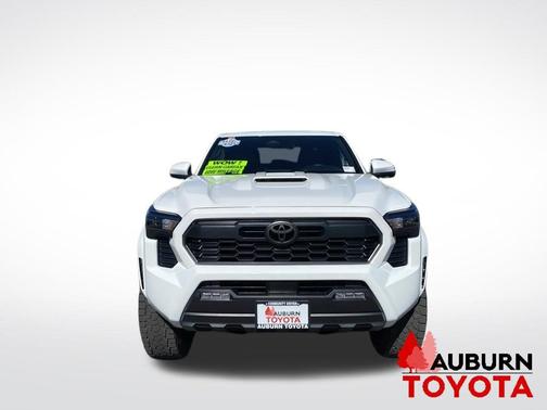 Ice Cap 2025 Toyota Tacoma TRD Sport