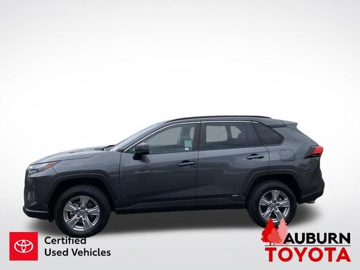 Magnetic Gray Metallic 2024 Toyota RAV4 Hybrid LE