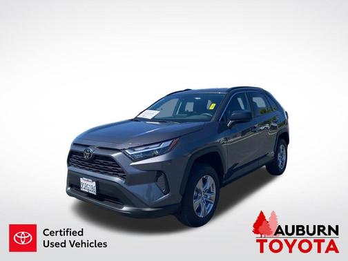 Magnetic Gray Metallic 2025 Toyota RAV4 Hybrid LE