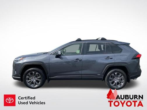 Magnetic Gray Metallic 2023 Toyota RAV4 Hybrid XLE Premium