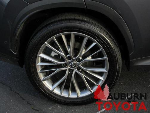 2025 Lexus NX 350h Luxury