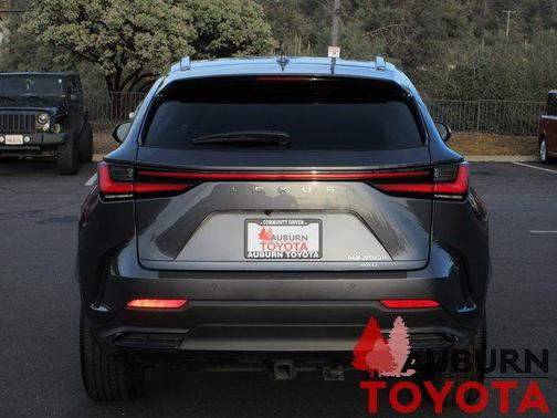 2025 Lexus NX 350h Luxury