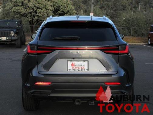 2025 Lexus NX 350h Luxury