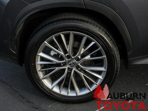 2025 Lexus NX 350h Luxury