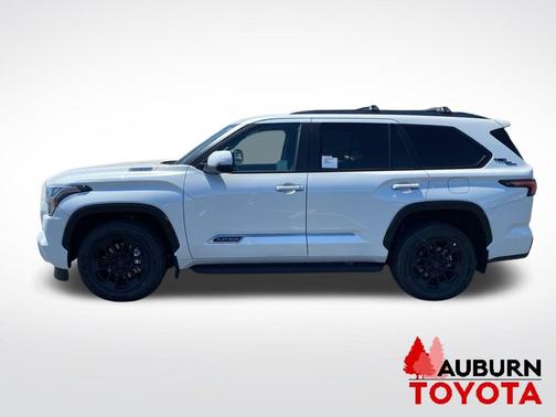 Wind Chill Pearl 2026 Toyota Sequoia Platinum