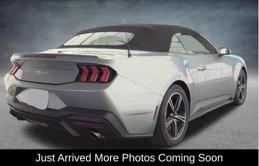 Silver Metallic 2025 Ford Mustang EcoBoost Premium