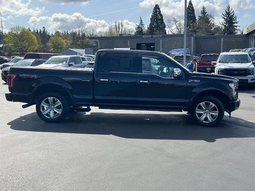 Shadow Black 2017 Ford F-150 Platinum