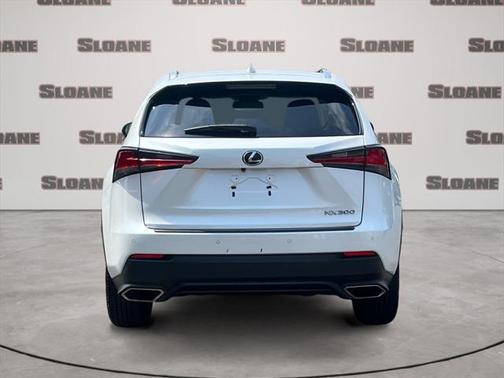 2019 Lexus NX 300 F Sport