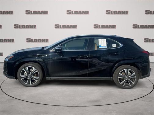 2025 Lexus UX 300h Premium