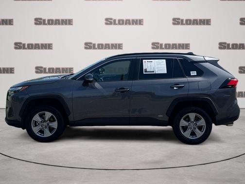 Magnetic Gray Metallic 2025 Toyota RAV4 Hybrid XLE