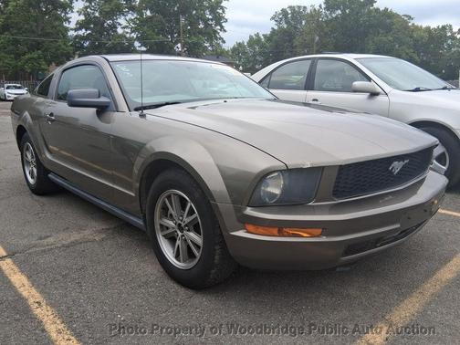 Mineral Gray Clearcoat Metallic 2005 Ford Mustang Deluxe