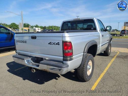 Bright Silver Metallic Clearcoat 2001 Dodge Ram 1500 1500 Magnum