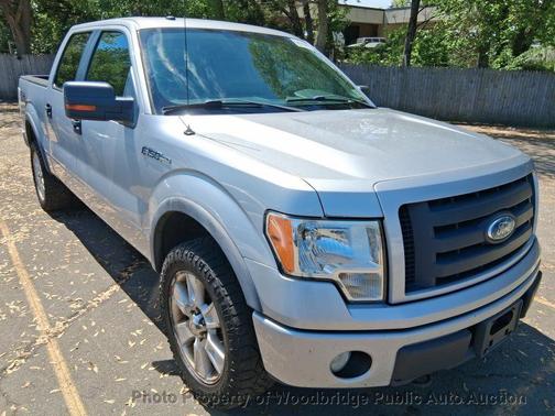 Brilliant Silver Clearcoat Metallic 2009 Ford F-150