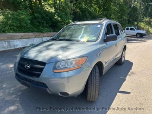 Willow Gray Mica 2009 Hyundai SANTA FE GLS