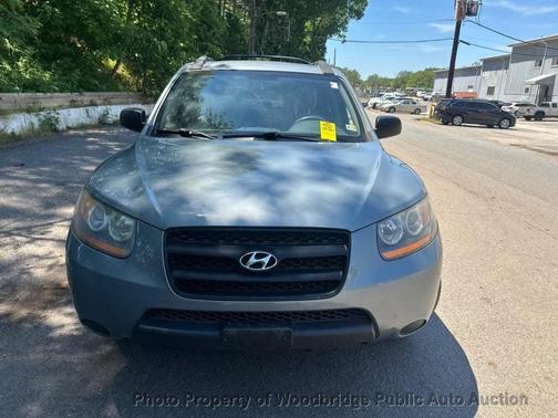 Willow Gray Mica 2009 Hyundai SANTA FE GLS