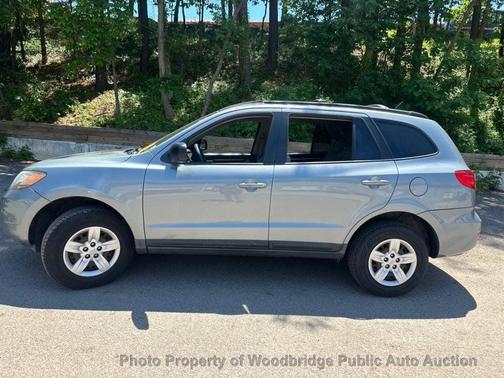 Willow Gray Mica 2009 Hyundai SANTA FE GLS