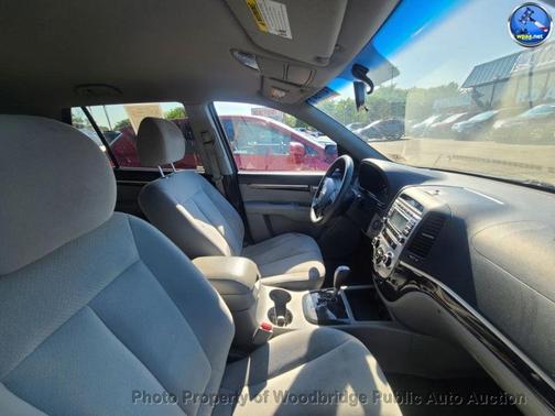 Willow Gray Mica 2009 Hyundai SANTA FE GLS