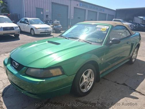 Electric Green Clearcoat Metallic 2002 Ford Mustang Deluxe
