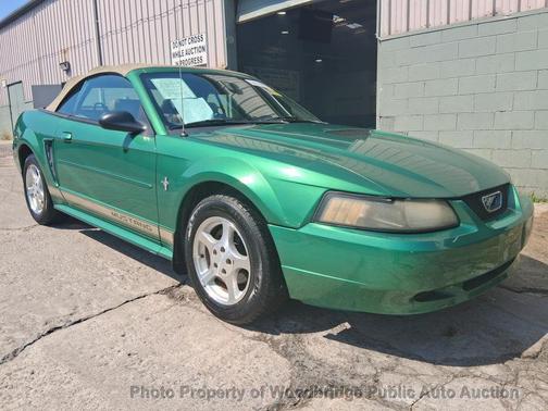 Electric Green Clearcoat Metallic 2002 Ford Mustang Deluxe
