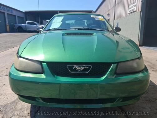 Electric Green Clearcoat Metallic 2002 Ford Mustang Deluxe