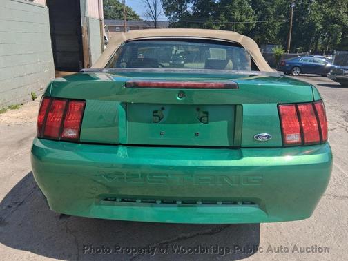 Electric Green Clearcoat Metallic 2002 Ford Mustang Deluxe