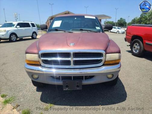 2000 Dodge Dakota Base