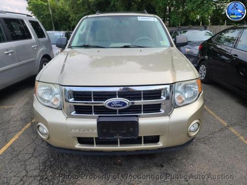Tan 2010 Ford Escape XLT