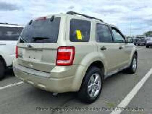 Tan 2010 Ford Escape XLT