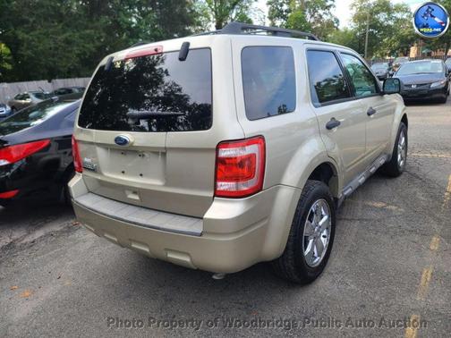 Tan 2010 Ford Escape XLT