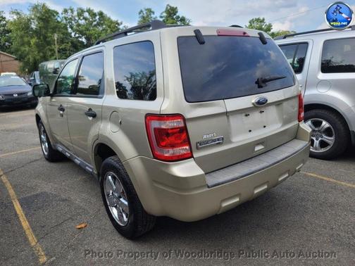Tan 2010 Ford Escape XLT