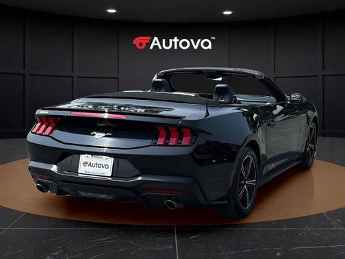 Shadow Black 2025 Ford Mustang EcoBoost Premium