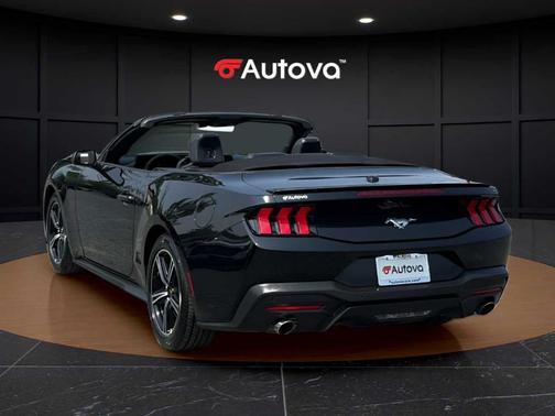 Shadow Black 2025 Ford Mustang EcoBoost Premium