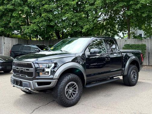 Black Metallic 2019 Ford F-150 Raptor