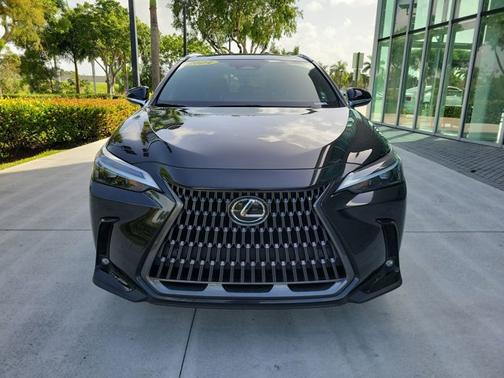 2024 Lexus NX 250 Premium