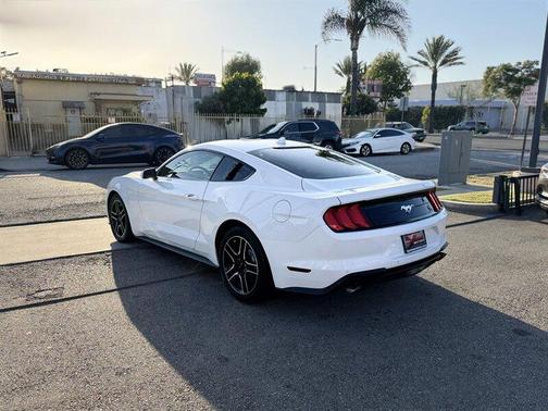 Oxford White 2021 Ford Mustang EcoBoost