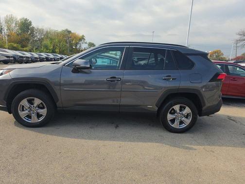 Magnetic Gray Metallic 2025 Toyota RAV4 Hybrid XLE