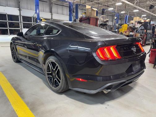 2023 Ford Mustang EcoBoost
