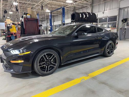 2023 Ford Mustang EcoBoost