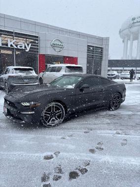 2023 Ford Mustang EcoBoost